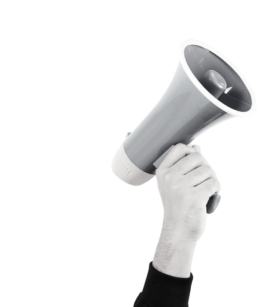 Búsqueda - CSI Consultores